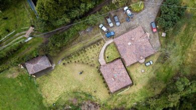 aerial-shot-roof-building-with-cars-green-plants_181624-20963-9178207