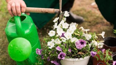 close-up-couple-with-flower-pot_23-2148256644-7283541