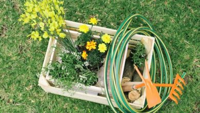 flowers-garden-equipment-wooden-container-meadow_23-2148028847-6770104