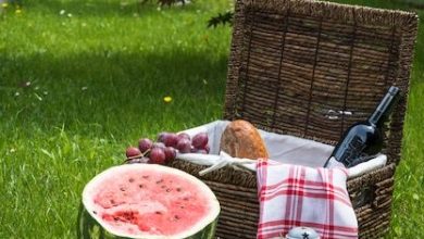 fruits-picnic-basket-with-lantern-green-grass_23-2147908086-1476719