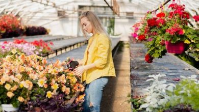 high-angle-woman-carrying-flowers-leaves_23-2148357526-6129004