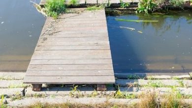 old-wooden-dock-with-murky-water_181624-21560-5225965