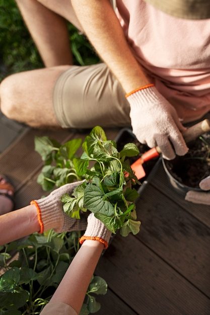 top-view-people-taking-care-plants_23-2149722644-1471058