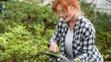 woman-working-hard-greenhouse_23-2149037320-1232293